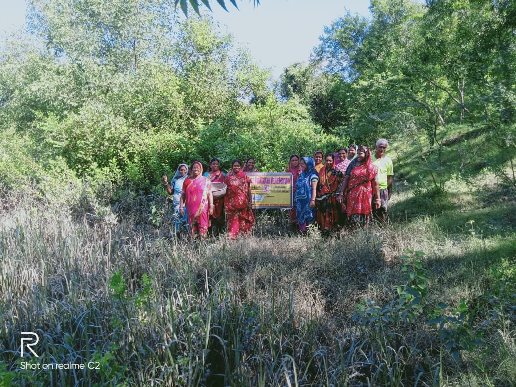 Mangrove Project